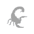 Paddel Scorpion